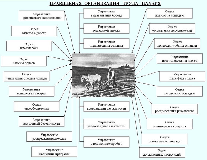 с чего начинается систематизация формализация бизнес процессов