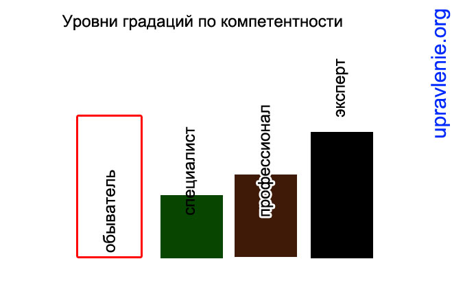Пример лестницы профессионального мастерства : обыватель - специалист- профессионал - эксперт (гуру)